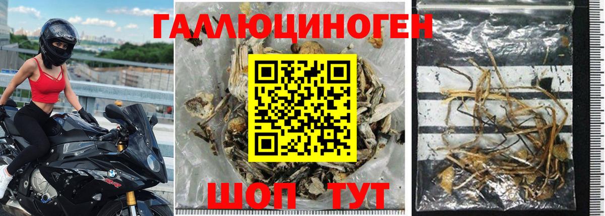 Знаменск  Галлюциногенные грибы Psilocybe  Вход с VPN  Псилоцибиновые грибы MAGIC MUSHROOMS 
